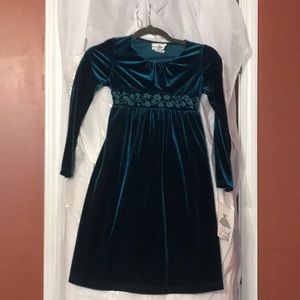 Brand New Girl’s Fancy Dress